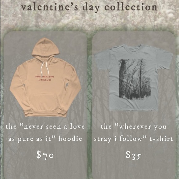 Taylor Swift “never seen a love as pure as it” Evermore hoodie - Picture 5 of 6